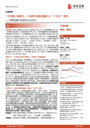 非银金融行业周报:7月保费小幅承压,上海发布国际金融中心“十四五”规划