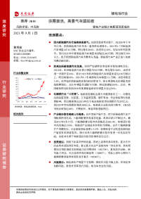 锂电产业链之电解液深度报告:供需紧俏,高景气有望延续