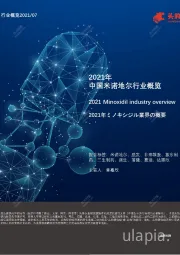 2021年中国米诺地尔行业概览
