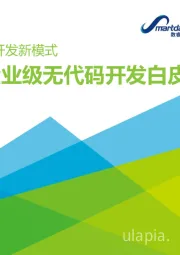 2021年中国企业级无代码开发白皮书：定义软件开发新模式