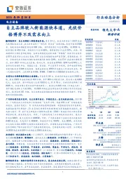 电力设备：自主品牌驶入新能源快车道，光伏价格博弈不改需求向上