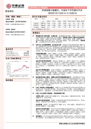 新能源汽车产业链2021H1财报总结：终端销量大幅攀升，中游多个环节量价齐升