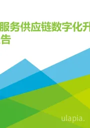 2021年中国IT服务供应链数字化升级研究报告