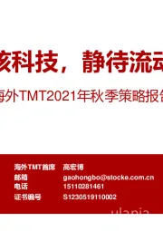 海外TMT2021年秋季策略报告:聚焦硬核科技,静待流动性拐点