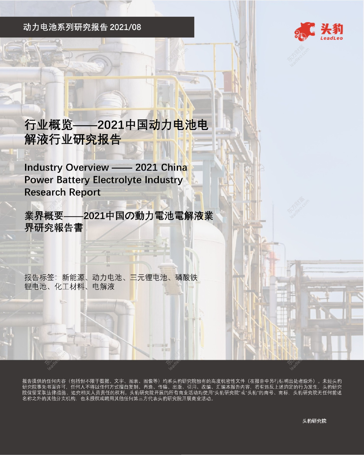 2021中国动力电池电解液行业研究报告