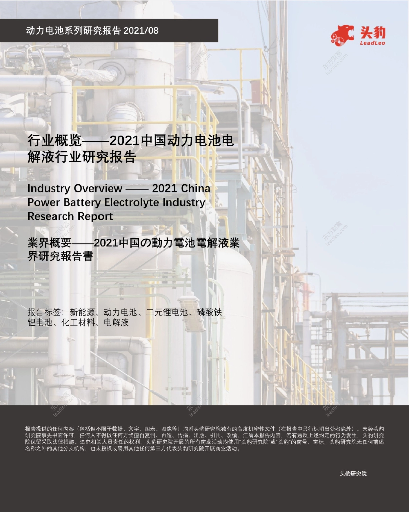 2021中国动力电池电解液行业研究报告