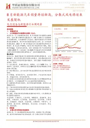 电力设备与新能源行业周观察：8月新能源汽车销量再创新高，分散式风电将迎来发展契机