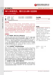 轻工制造行业点评报告:PMTA持续推进,看好龙头集中度提高