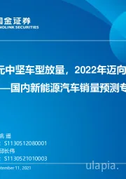 国内新能源汽车销量预测专题：10~20万元中坚车型放量，2022年迈向500万大关