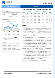 石油化工行业月度报告：石化品价格继续承压，产能受限领域景气依旧