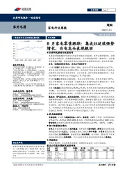家电行业周报：8月家电零售跟踪：集成灶延续强势增长，白电龙头表现靓丽