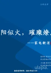 家电新消费深度报告：朝阳似火，璀璨燎原