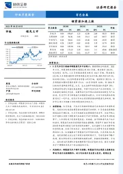 有色金属行业月度报告：锂资源加速上涨