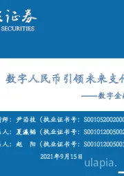 数字金融系列报告（一）：DC/EP：数字人民币引领未来支付新趋势