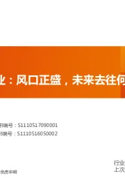 互联网传媒行业深度研究：直播电商行业：风口正盛，未来去往何方？