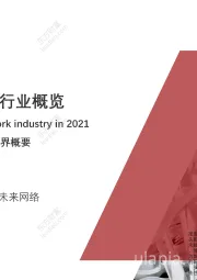 2021年中国IP网络行业概览