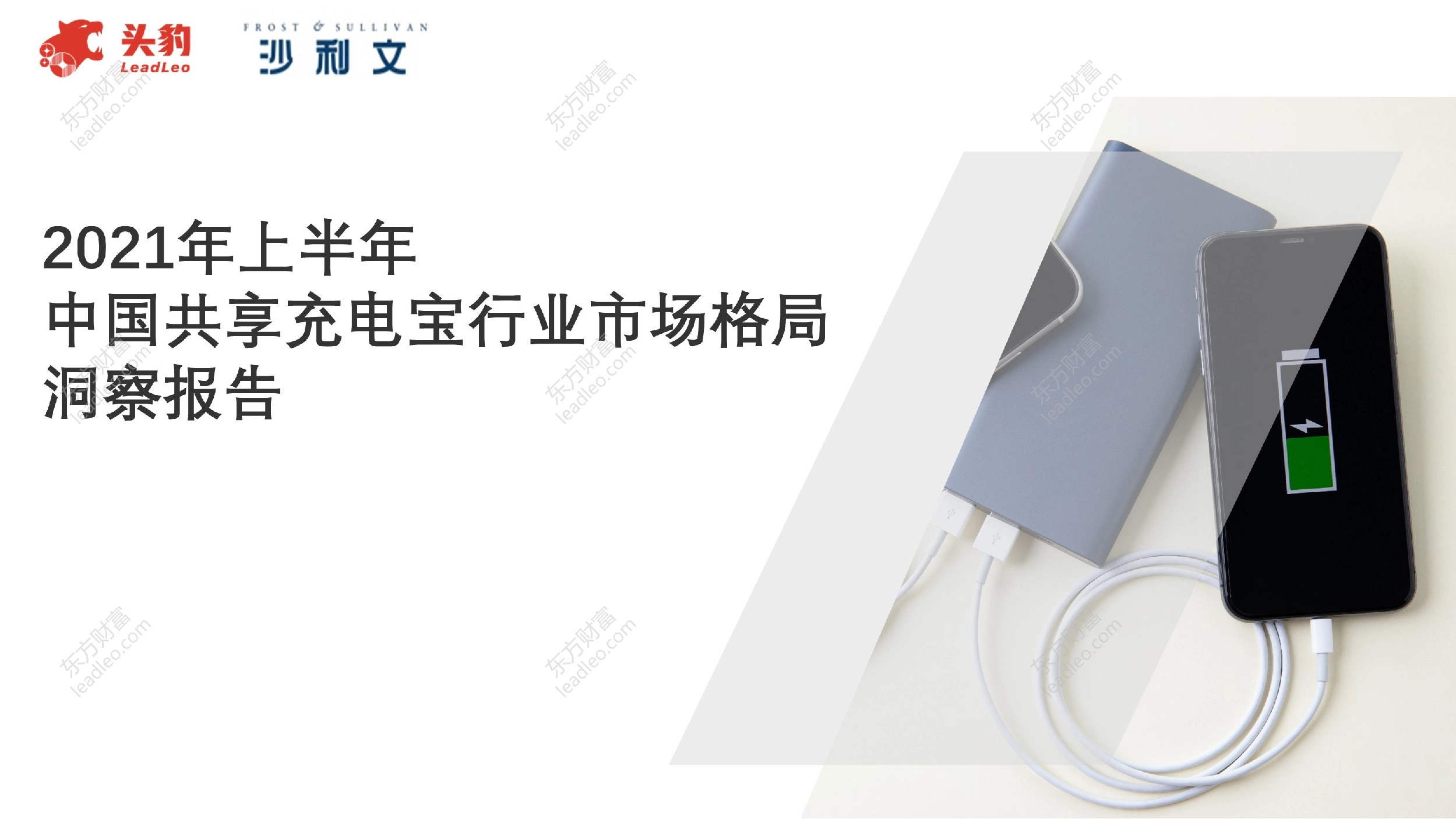 2021年上半年中国共享充电宝行业市场格局洞察报告