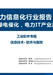 电力信息化行业报告：双碳绿电催化，电力IT产业高景气