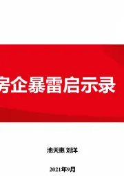 房地产：房企暴雷启示录