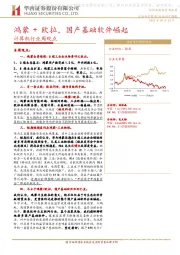 计算机行业周观点：鸿蒙+欧拉，国产基础软件崛起