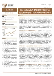 化工新材料行业周报：恒力石化生物降解新材料项目开工，奥克股份建设二氧化碳综合利用项目