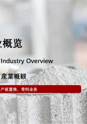 2021年中国水泥行业概览
