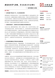 透明质酸行业深度：颜值经济景气持续，多元化助力行业增长