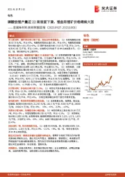 金属新材料高频数据周报：磷酸铁锂产量近22周首度下滑，锂盐和锂矿价格继续大涨