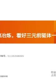 电气设备行业专题研究：加速布局镍冶炼，看好三元前驱体一体化大趋势