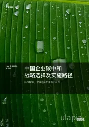 环保行业：中国企业碳中和战略选择及实施路径：科技赋能，双碳达标并非遥不可及