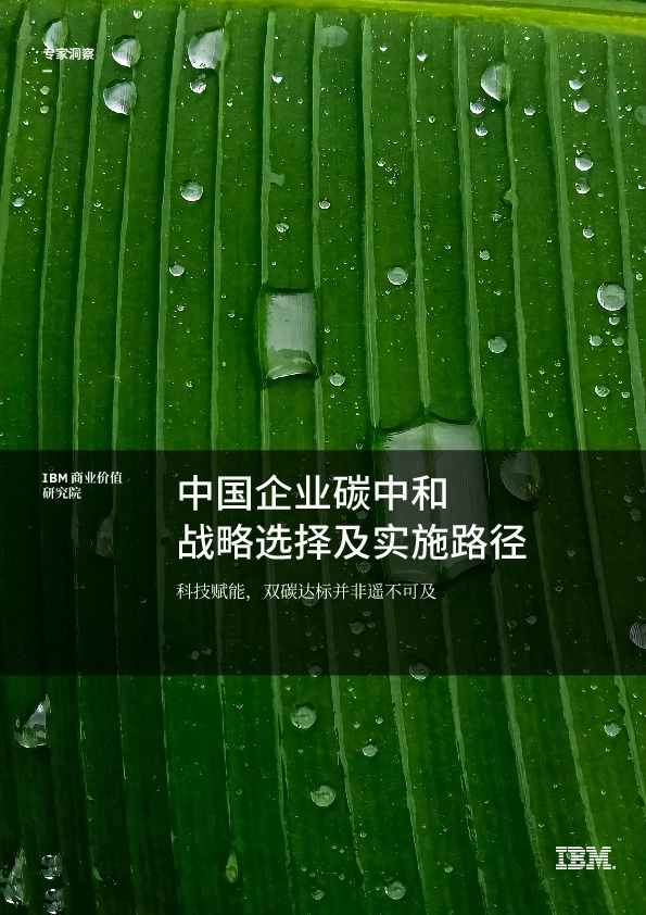 环保行业：中国企业碳中和战略选择及实施路径：科技赋能，双碳达标并非遥不可及