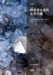 互联网行业:释放混合云的业务价值:虚拟企业如何推动收入增长与创新