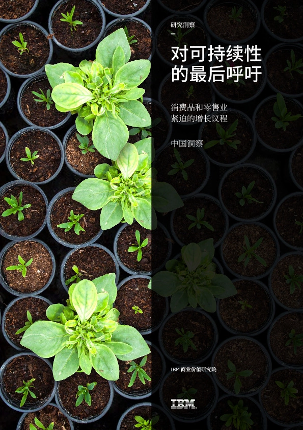 消费品零售行业：紧迫的增长议程，对可持续性的最后呼吁