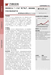 新材料板块双周观点：国务院纠正“一刀切”停产限产，湖南裕能向创业板发起冲击