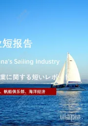 2021年中国帆船行业短报告