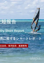 2021年中国冲浪行业短报告