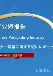2021年中国滑翔伞行业短报告