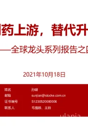 全球龙头系列报告之四：制药上游，替代升级