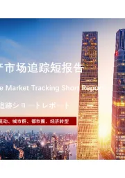 2021年中国房地产市场追踪短报告