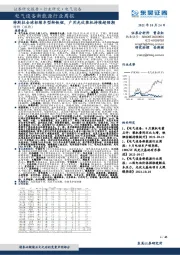 电气设备新能源行业周报：特斯拉全球标续车型转铁锂，户用光伏装机持续超预期