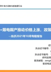 光伏2021年10月专题报告:需求旺盛+限电限产推动价格上涨,政策持续加码