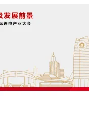 有色金属行业：2021年中国（遂宁）国际锂电产业大会-全球锂资源现状及发展前景