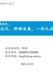 磷酸铁锂深度报告:大宗商品化,群雄逐鹿,一体化成本为王