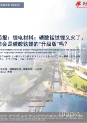 简报：锂电材料：磷酸锰铁锂又火了，将会是磷酸铁锂的“升级版”吗？