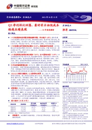 石油化工10月动态报告：Q3净利环比回落，看好非石油低成本路线业绩表现