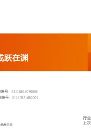 半导体行业深度研究：晶圆代工：或跃在渊