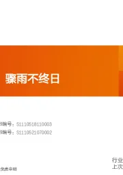 保险行业深度研究:狂风不终朝,骤雨不终日