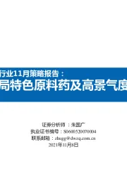 2021年医药行业11月策略报告：战略布局特色原料药及高景气度子行业