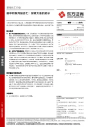 基础化工行业碳中和系列报告七：尿素大涨的启示