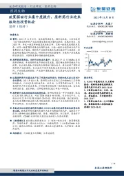 政策驱动行业集中度提升，原料药行业迎来板块性投资机会